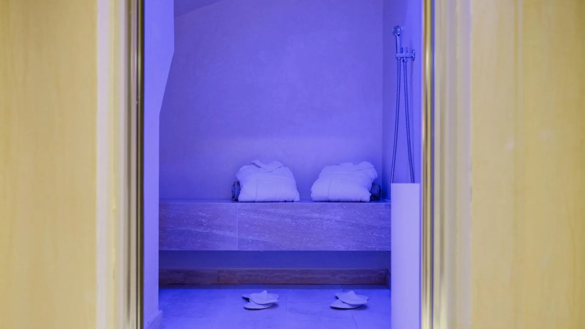 Hotel Palazzo Patrizi Suites & Spa Siena Italy