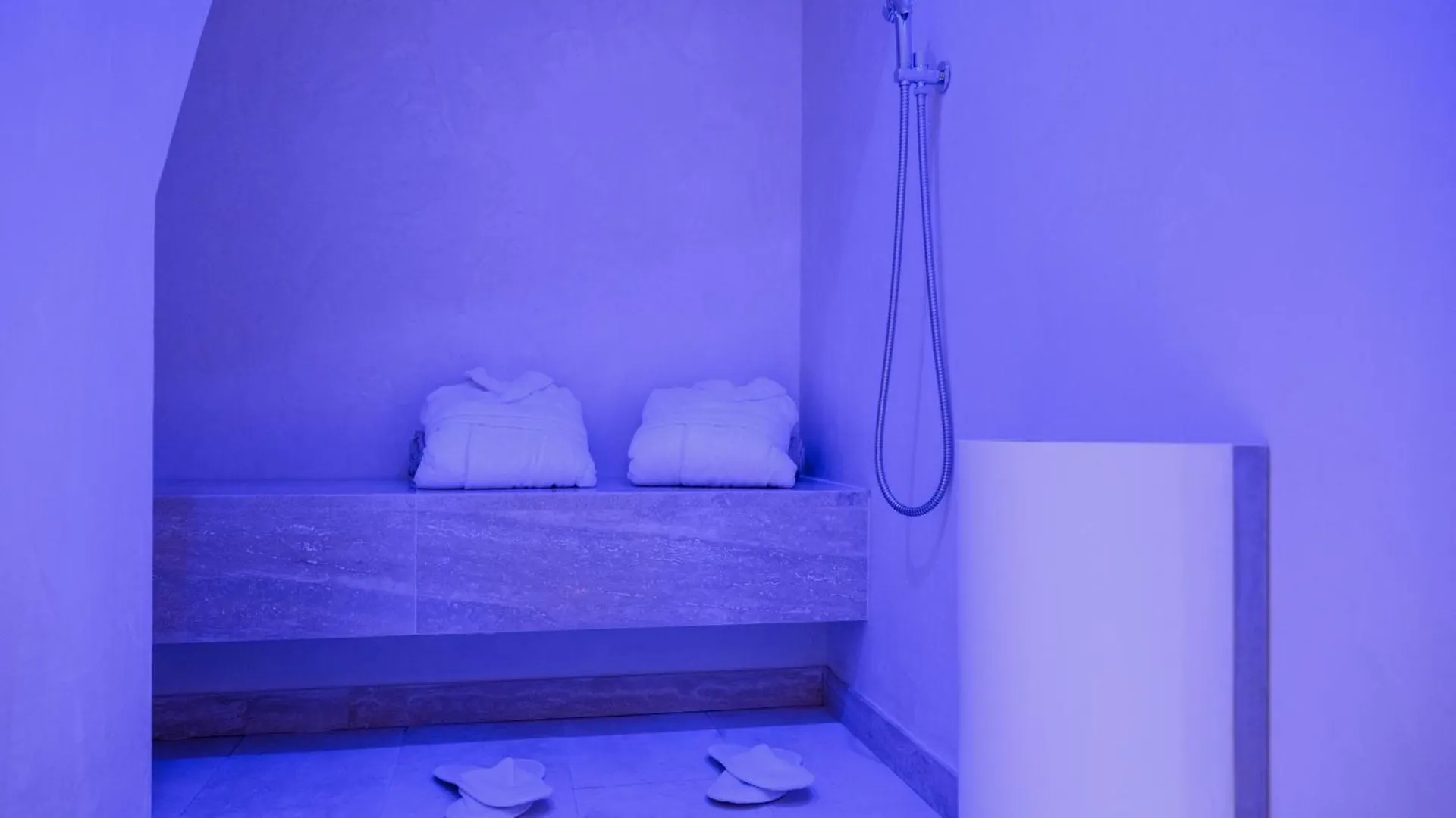 Palazzo Patrizi Suites & Spa Siena